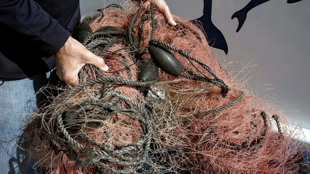 Vancouver Island firms included in $8.3M grant to clean up 'ghost' fishing  gear | CTV News