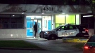 The scene of a stabbing at a Scarborough apartment building is seen. (CTV News Toronto) 