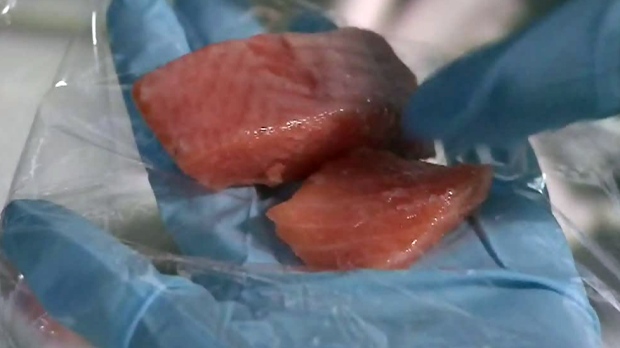 47 per cent of fish tested in Canadian retailers mislabelled: Oceana report  | CTV News