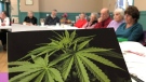 The Prince Albert Senior Advocacy Centre recently hosted a workshop on cannabis. (Lisa Risom/CTV Prince Albert)