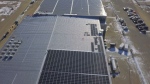 A cannabis company has unveiled what it claims is the largest solar panel array in the Canadian pot business.