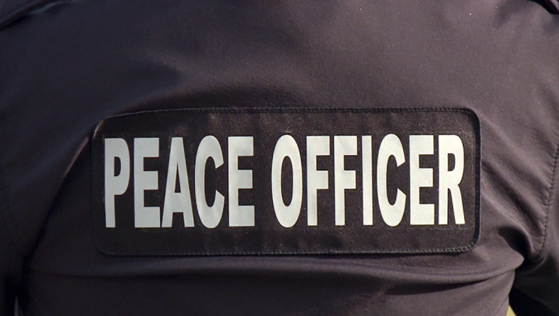 Lethbridge community peace officer (file photo)