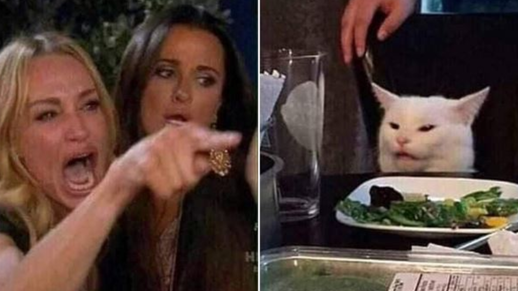 Woman yelling at cat meme: His name is Smudge, he's from Ottawa and he  hates salad | CTV News