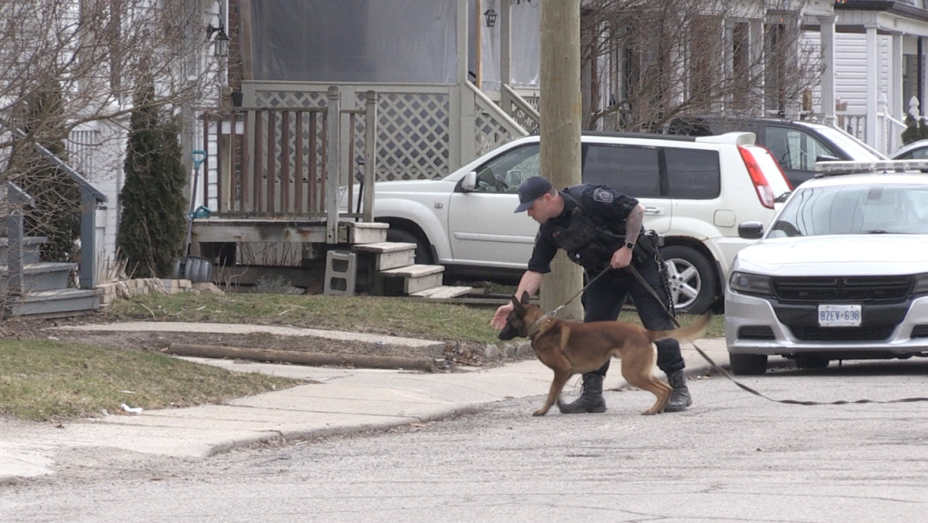 St. Thomas police investigate shots fired on John Street Thursday ...