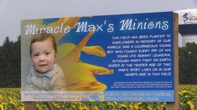 Miracle Max's Minions in Bayfield, Ont. on July 10, 2020. (Scott Miller/CTV London)