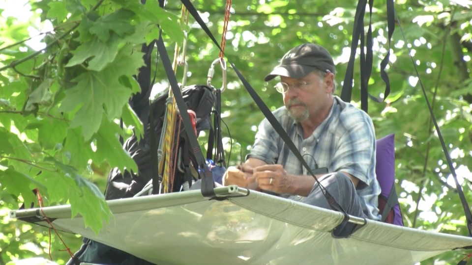 SFU professor occupies treetops to protest pipeline expansion | CTV News