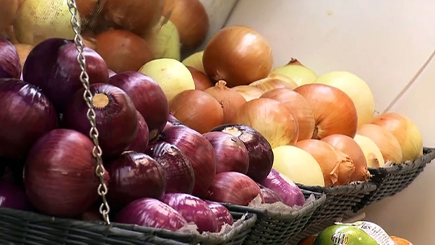 Onion recall due to possible Salmonella contamination | CTV News