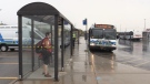 LTC bus shelter on Sept. 28, 2020. (Daryl Newcombe/CTV London)