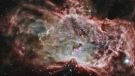 This composite image made available by NASA shows the cluster NGC 2024, which is found in the centre of the Flame Nebula about 1,400 light years from Earth. (X-ray: NASA/CXC/PSU/K.Getman, E.Feigelson, M.Kuhn & the MYStIX team; Infrared:NASA/JPL-Caltech via AP)
