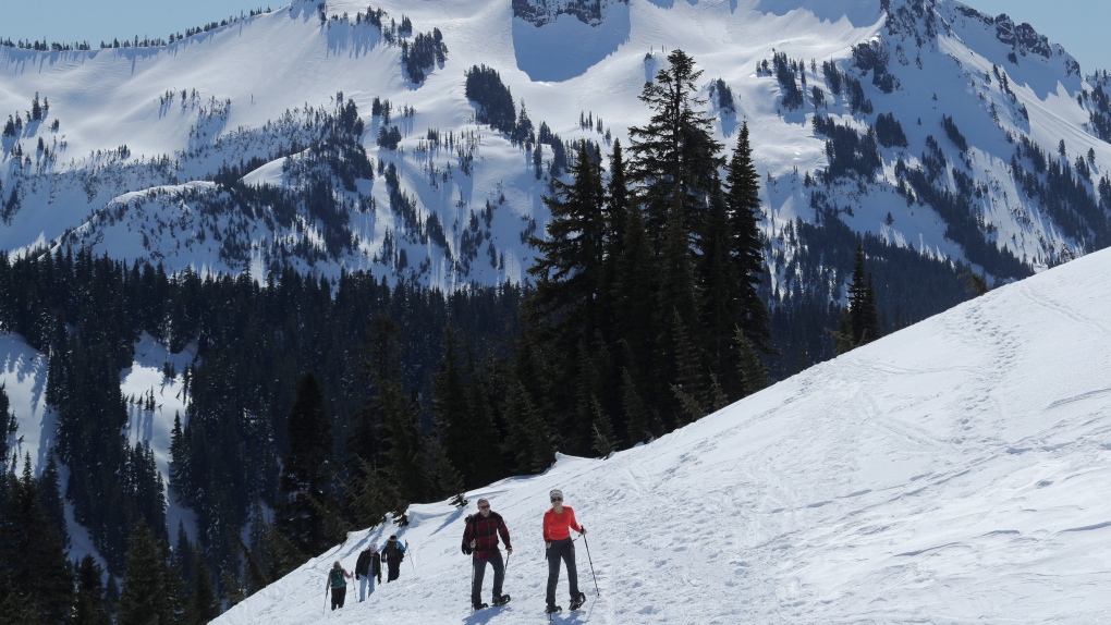 Hiker Whose Heart Stopped After Mt. Rainier Rescue Recovers 