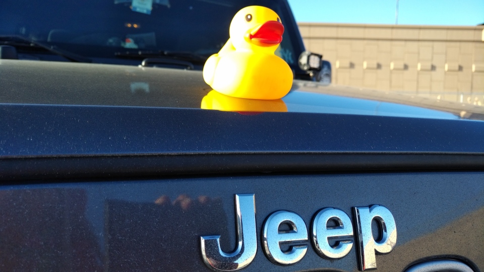 Duck, duck, Jeep: Why rubber ducks appearing on Jeeps