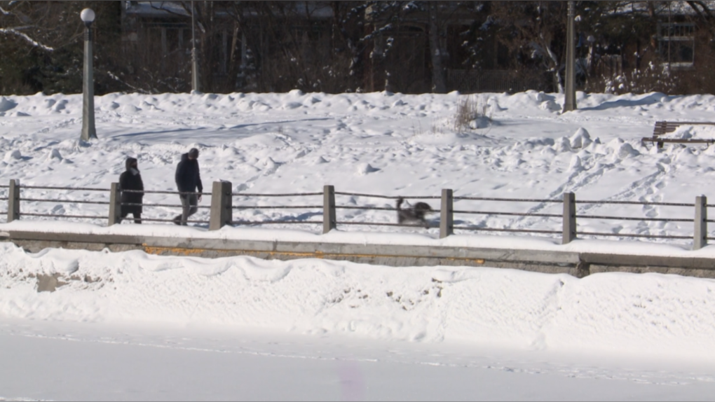 Winter in Ottawa