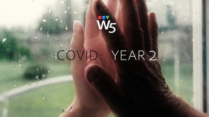 W5: COVID: Year 2