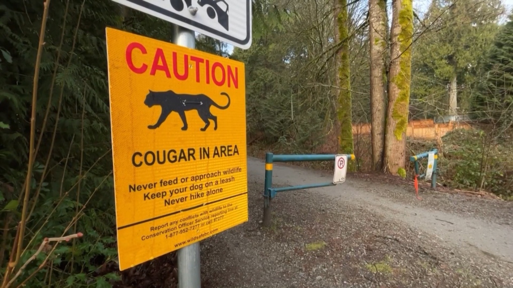 Warning for pet owners after cougar attack