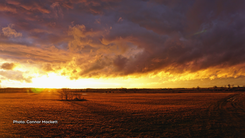 Sunset in a Winchester field March 28th. (Connor Mockett/CTV Viewer)