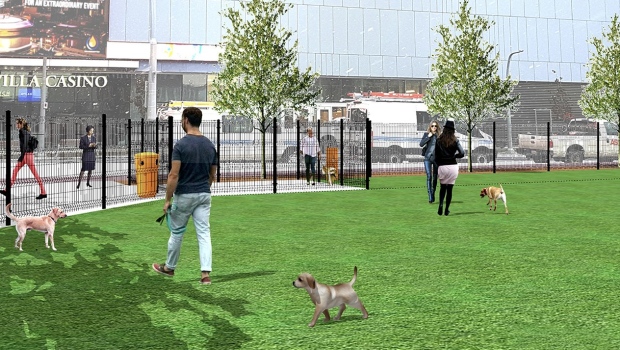 Dog park next to Rogers Place to be built this spring | CTV News