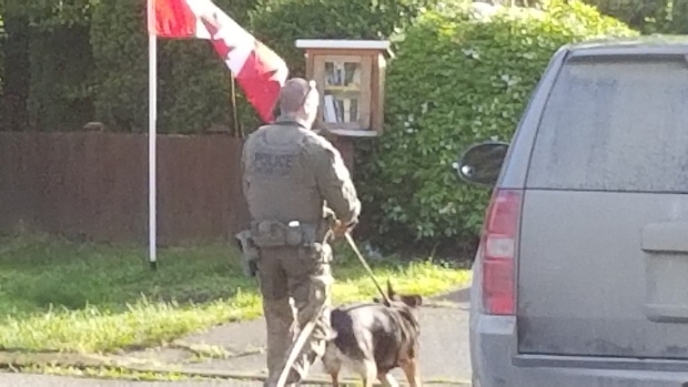 Oak Bay assault suspect arrested following foot chase | CTV News