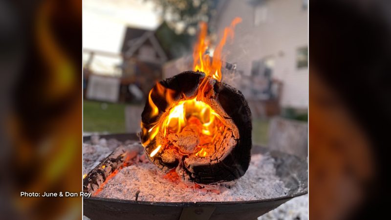 Nothing beats a backyard campfire! (June & Dan Roy/CTV Viewers)