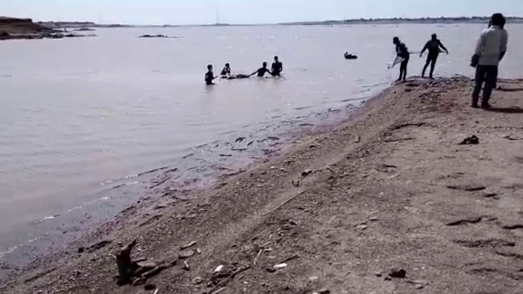 Bodies pulled from river