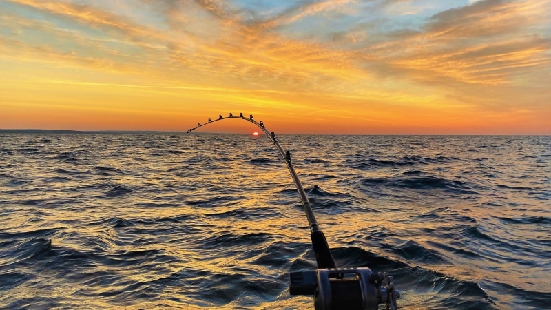 Caught two King Salmons and two rainbow trout on a charter fishing trip early in the morning as the sun came up on Lake Ontario. (Rob Patten/CTV Viewer)

