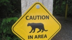 A sign warning of a cougar in the area is seen in this undated stock image. (Shutterstock)