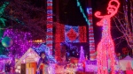 FILE: A display from the annual Bright Nights fundraiser in Stanley Park is seen in a handout image from the Vancouver Park Board. 