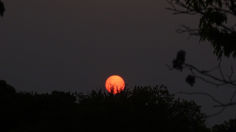 Haze from wildfire smoke causes the sun to appear red in the sky when it sets, as in this photo from Mississauga, Ont. on May 16, 2023. (Natasha O'Neill/ CTVNews.ca)