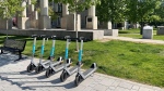 Bird e-scooters parked on Elgin Street outside Ottawa City Hall. (Josh Pringle/CTV News Ottawa) 