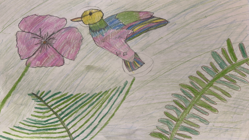Audrey, 7 years old, Grade 2, St. Kateri, Barrhaven