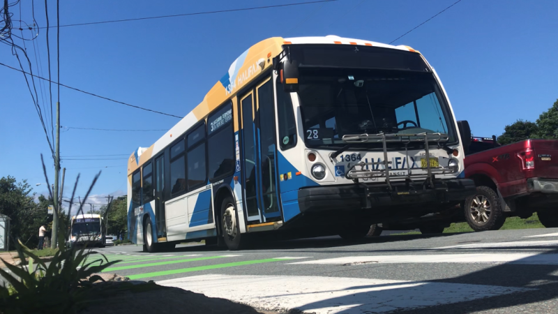 A Halifax Transit bus is pictured on Aug. 17, 2023. (Jonathan MacInnis/CTV Atlantic)