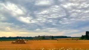 Overcast skies are seen just outside of London, Ont. in this viewer-submitted image from July 2023. (Source: Karen Allen) 