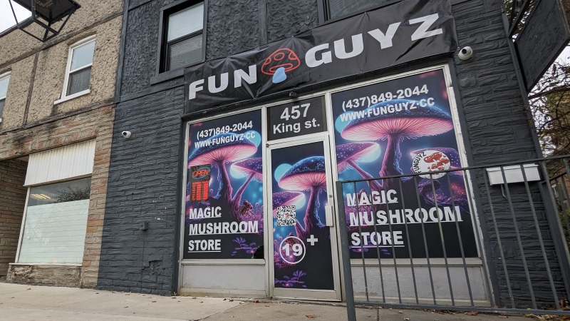 The FunGuyz magic mushroom shop in Cambridge, Ont. on Nov. 10, 2023. (Dan Lauckner/CTV Kitchener)