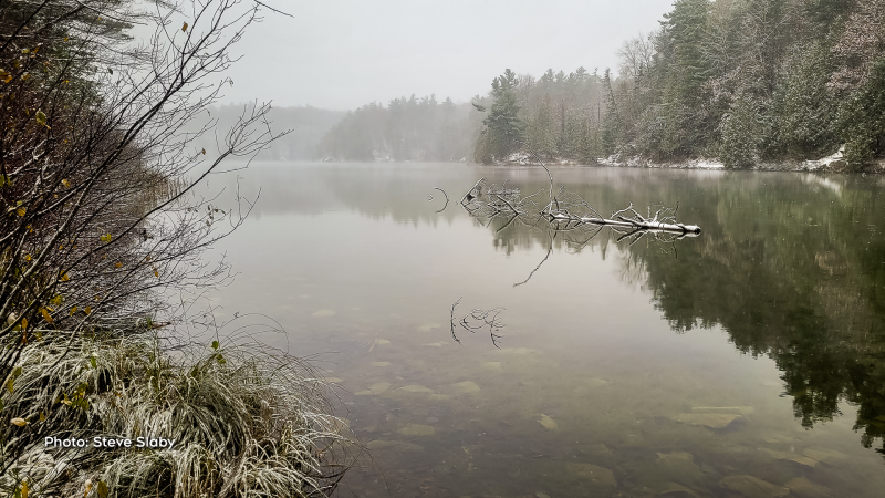 While hiking around Lake Philippe in the Gatineau Park we enjoyed the classic November scenery - cloudy with snow flurries. (Steve Slaby/CTV Viewer)