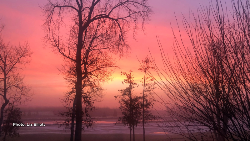 "Sunrise at the eQuinelle Golf Course near Kemptville" (Liz Elliott/CTV Viewer)