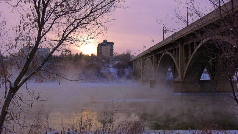 (Chad Hills/CTV News)