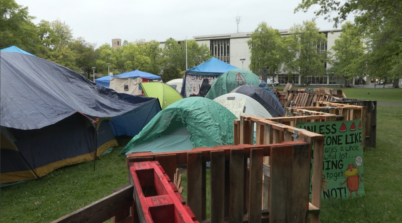 Tents in the Palestinian solidarity encampment at the University of Victoria. (CTV News)