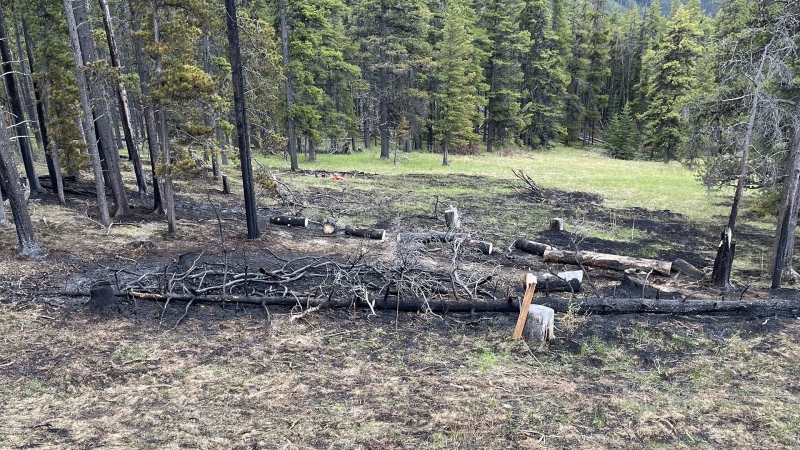 Officials say an abandoned campfire is to blame for a wildfire near Fisher Creek, west of Millarville on June 2, 2024. (Supplied/Alberta Wildfire)