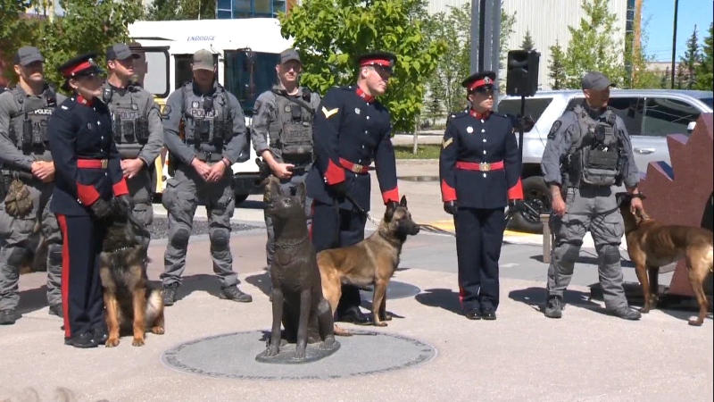 Four new Calgary police dogs graduated from their training program on Tuesday, June 4, 2024. 
