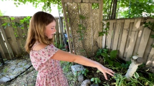 Violette Ferguson, 11, wants the City of Ottawa to allow backyard chicken coops. (Peter Szperling/CTV News Ottawa)