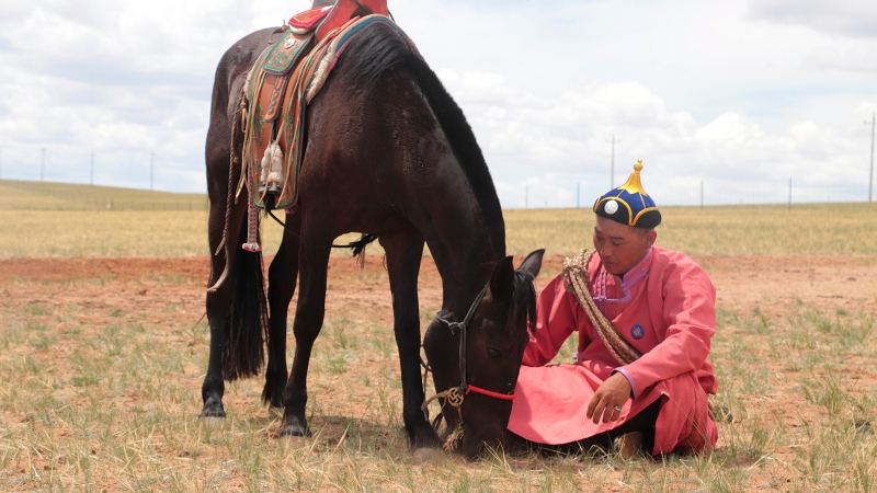 A herder sits with his horse on an open plain in Inner Mongolia, China, July 2019. (Ludovic Orlando/Centre for Anthropobiology and Genomics of Toulouse, CAGT via AP)