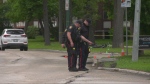 Winnipeg police officers are pictured on June 6, 2024 investigating a hit-and-run on Wellington Crescent. (Joseph Bernacki/CTV News Winnipeg)