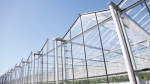 A file image of a greenhouse. (Source: Getty Images) 