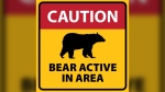 The District of Squamish is warning residents and visitors after a recent bear attack. (facebook.com/districtofsquamish)