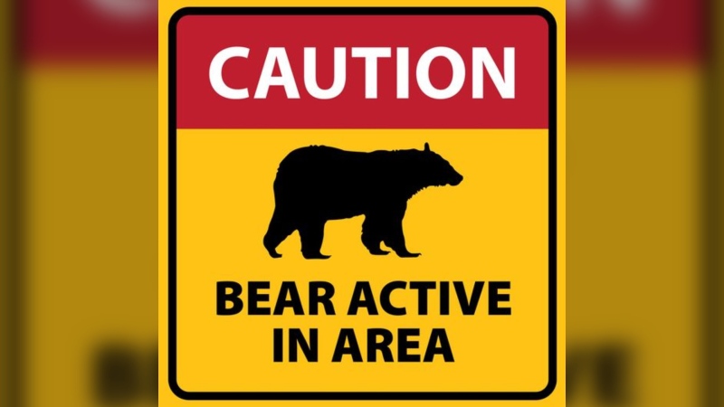 The District of Squamish is warning residents and visitors after a recent bear attack. (facebook.com/districtofsquamish)