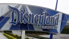 A Disneyland employee died after she fell from a moving golf cart in the backstage area of the Southern California theme park. (Chris Carlson/AP Photo)