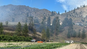 The aftermath of a brushfire in Okanagan Falls is pictured on Saturday, June 8. (BC Wildfire Service) 