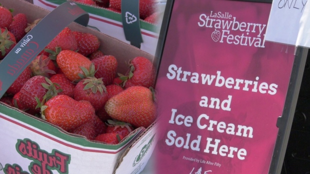 The LaSalle Strawberry Festival celebrated 36 years with as it returned from Jun. 6 to 9, 2024. (Sanjay Maru/CTV News Windsor).