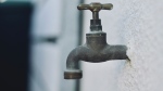 A stock photo of an outdoor tap. (Unsplash/Jonathan Delange)
  