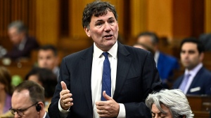 Minister of Public Safety, Democratic Institutions and Intergovernmental Affairs Dominic LeBlanc rises during Question Period in the House of Commons on Parliament Hill in Ottawa on Monday, June 10, 2024. THE CANADIAN PRESS/Justin Tang