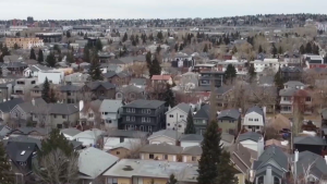 The Calgary Chamber of Commerce would like to see annual housing starts double in Calgary. (CTV News) 